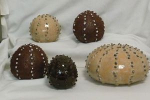 Voir le détail de cette oeuvre: Sea urchins